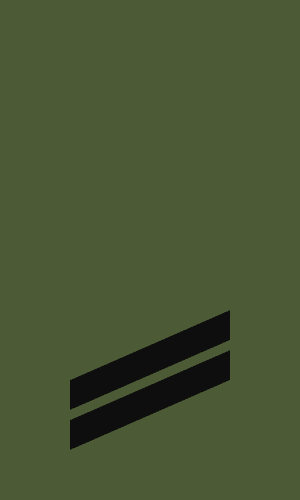 Rangabzeichen